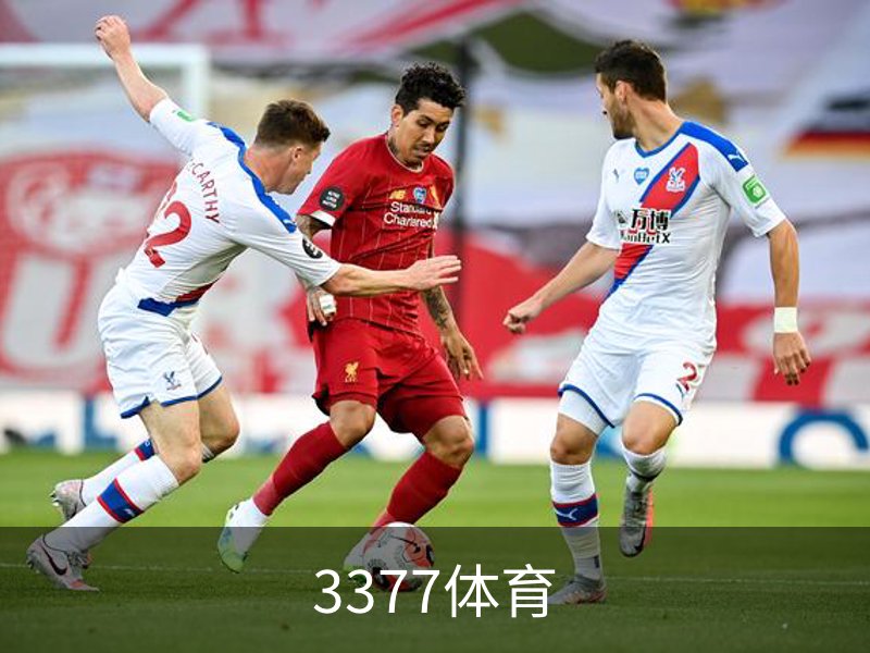 3377体育品牌故事
